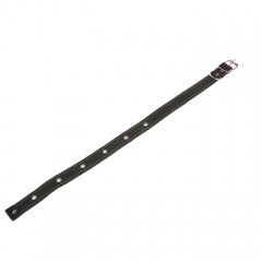 Ошейник брезентовый на фетре, 2,5 см - Фото 1