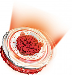 Волчок «Blazing Bear» - Фото 1