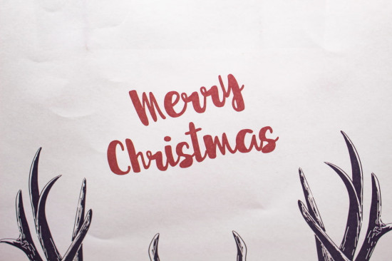Пакет подарочный «Merry»