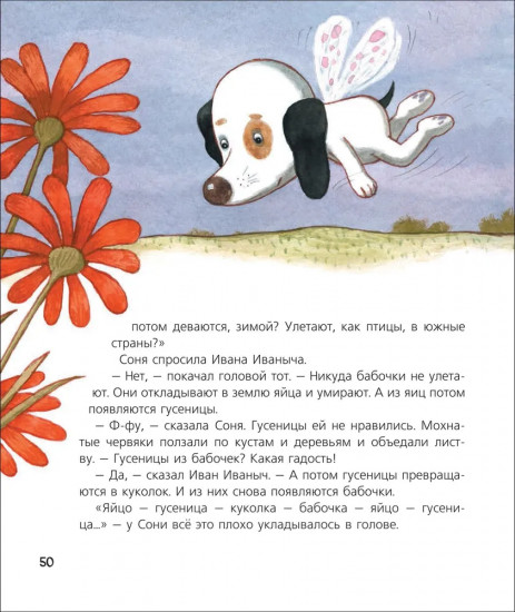 Собачка Соня на даче