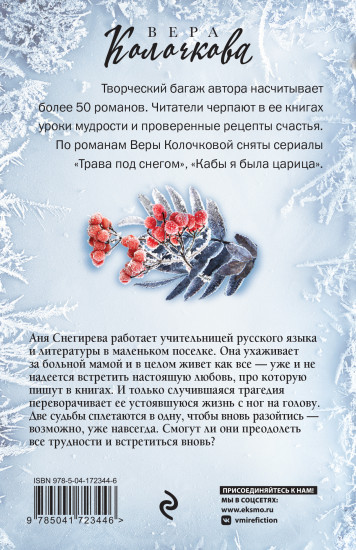 Зимняя рябина