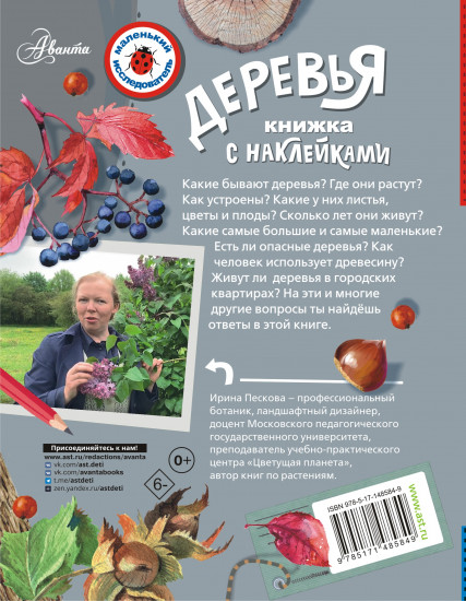 Деревья