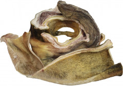 Лакомство для собак «Уши говяжьи» - Фото 2