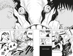 Магическая битва. Книга 1. Двуликий Сукуна. Проклятый плод - Фото 3