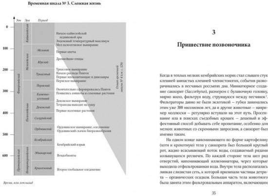 Очень краткая история жизни на Земле