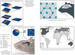 Путеводный нейрон. Как наш мозг решает пространственные задачи - Фото 2