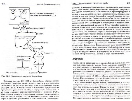 Расшифровка клинических лабораторных анализов