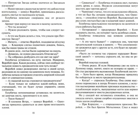 Долгое эхо | Коты-воители | Фото 1