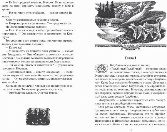 Долгое эхо | Коты-воители | Фото 3