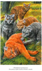 Коты-воители. Четвертый оруженосец. Долгое эхо - Фото 2