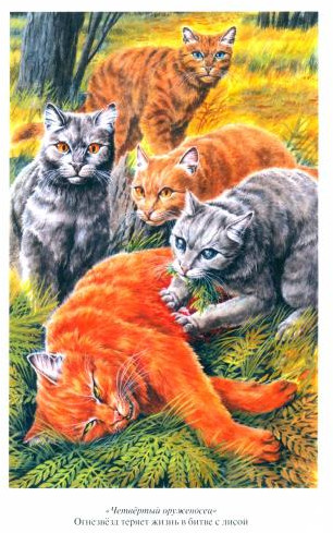 Коты-воители. Четвертый оруженосец