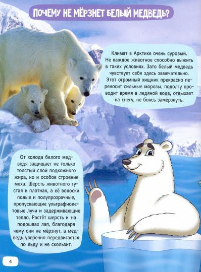 Зачем котам усы?
