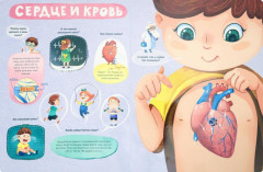 Книжка с окошками. Тело человека - Фото 1