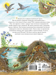 Чудеса природы. 50 историй в картинках для детей - Фото 1