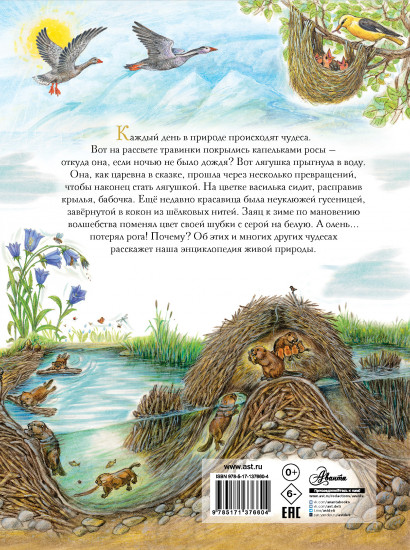 Чудеса природы