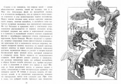 Театр теней - Фото 1