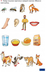 Играй и говори! Двусложные слова - Фото 2