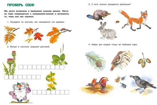 Большая лесная энциклопедия