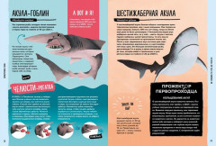 Мир вокруг тебя. Тайны мирового океана - Фото 2