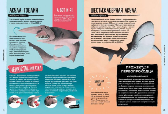 Мир вокруг тебя. Тайны мирового океана