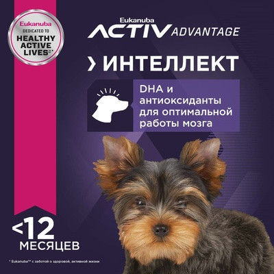 Корм для щенков миниатюрных пород «Eukanuba» (500 гр)
