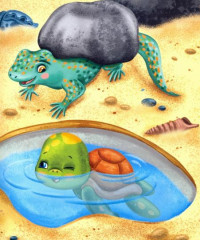 Черепашонок Тим и его большая мечта - Фото 2