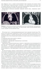 Сосудистый доступ в гематологии - Фото 2