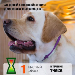 Ошейник успокоительный для средних и крупных собак - Фото 4