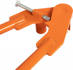 Полосогиб - Фото 5