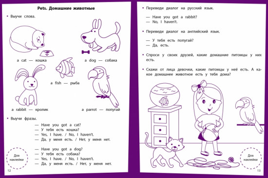 Английский язык. Ступеньки знаний