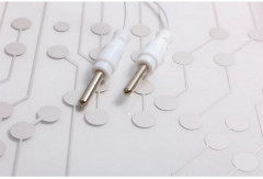 Электровикторина «Родная речь» - Фото 3