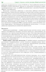 Гистология, эмбриология, цитология. Учебник - Фото 1