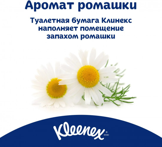 Туалетная бумага с ароматом ромашки «Aroma Care»