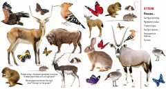 Найди и покажи. Животные - Фото 1