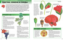Новая энциклопедия школьника - Фото 1