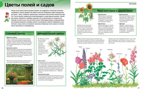 Новая энциклопедия школьника