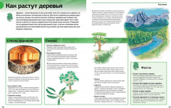 Новая энциклопедия школьника - Фото 3