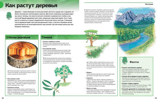 Новая энциклопедия школьника