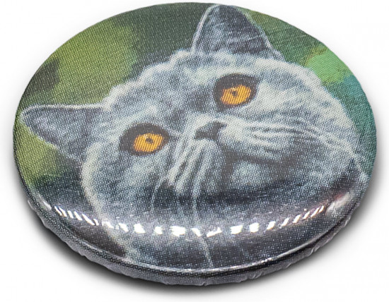 Игольница «Британский Кот»