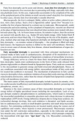 Pathological Anatomy. Textbook - Фото 1