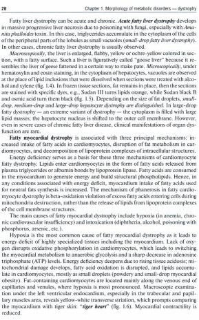 Pathological Anatomy. Textbook