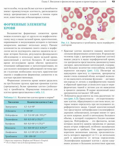 Патофизиология системы крови. Руководство
