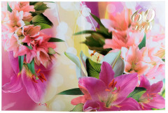 Папка адресная «60 лет» - Фото 1