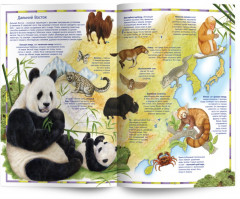Атлас для детей «Животные мира» - Фото 2