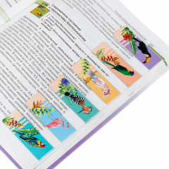 Набор закладок магнитных «Tropics» - Фото 11