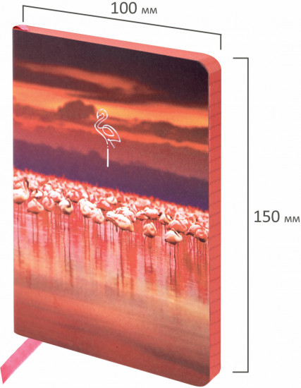 Блокнот «Flamingo»
