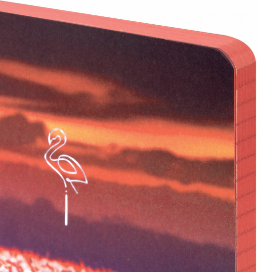 Блокнот «Flamingo»
