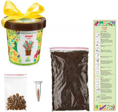 Набор для выращивания «Ягоды Годжи» - Фото 1