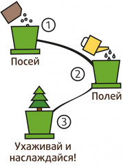 Набор для выращивания «Ягоды Годжи» - Фото 2