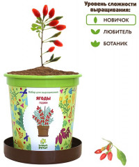 Набор для выращивания «Ягоды Годжи» - Фото 3